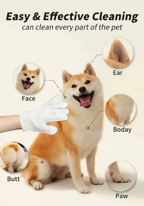 Clean every part of your pet in minutes