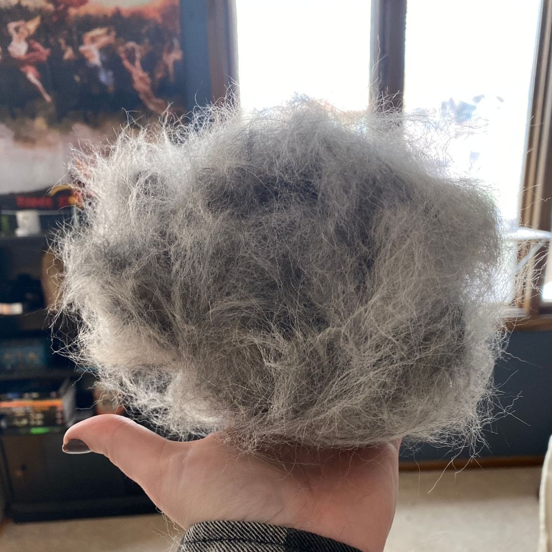 EasyPetWipes™ - Pet Brush