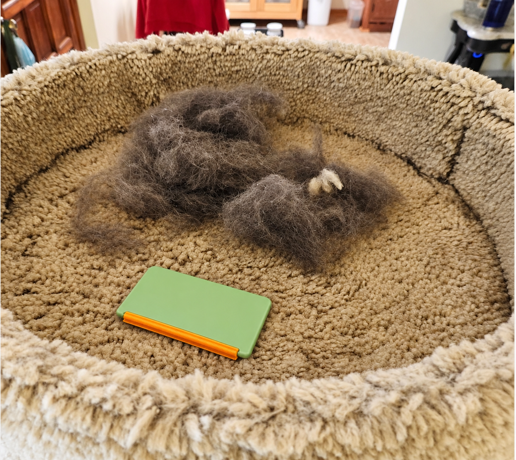 EasyPetWipes™ - Mini Cleaner