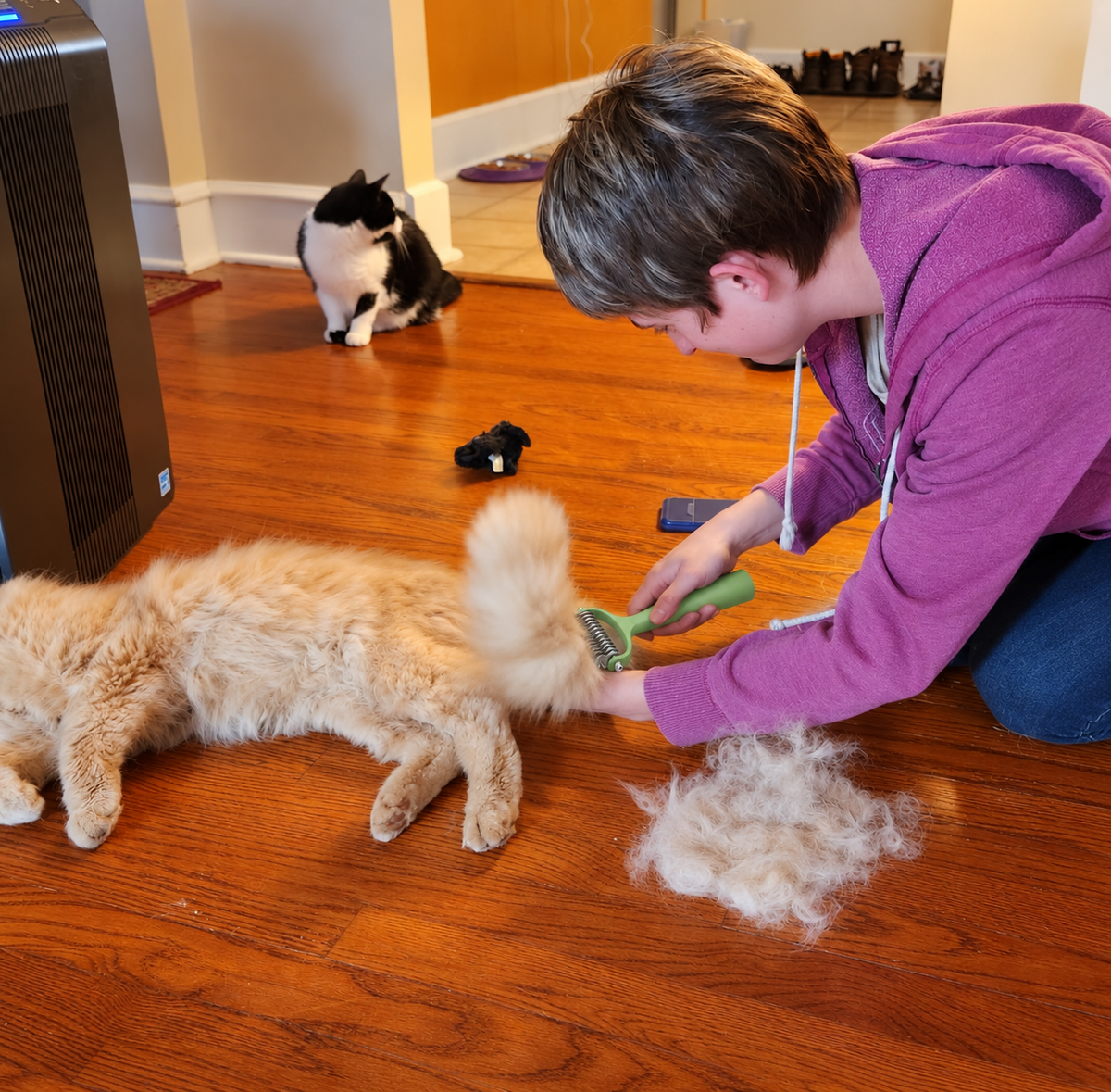 EasyPetWipes™ - Pet Brush