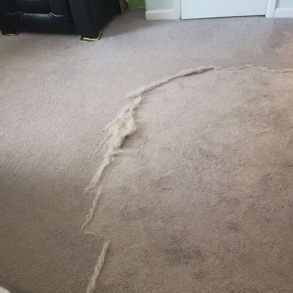 EasyPetWipes™ - Extra Long Cleaner